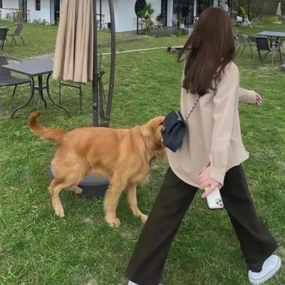 惊蛰无声